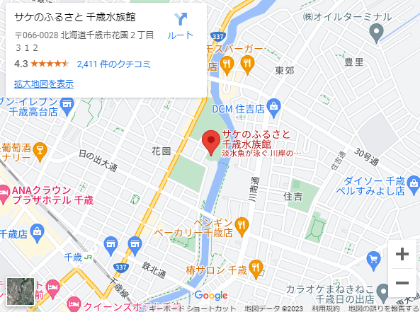 千歳水族館アクセス