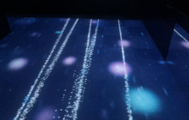 千歳水族館 フロアマッピング2