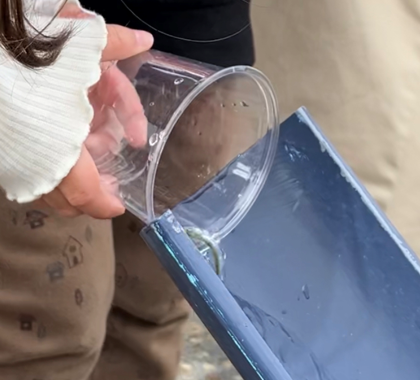 千歳水族館 稚魚の放流体験3