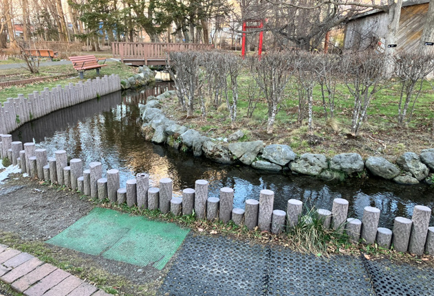千歳水族館 稚魚の放流体験