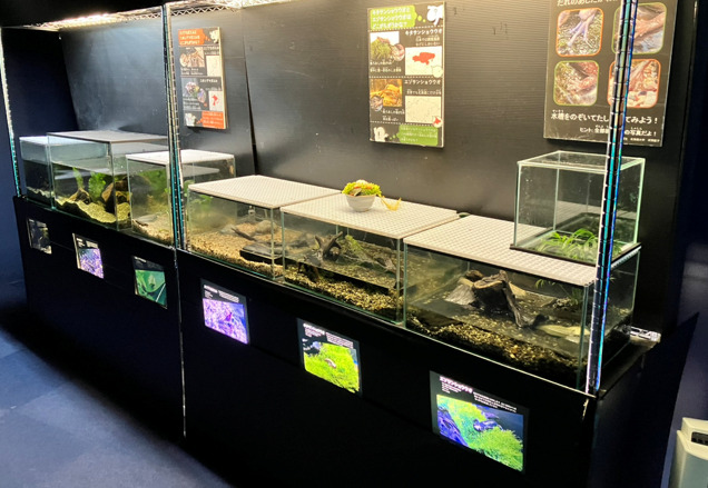 千歳水族館 水辺の生き物ゾーン