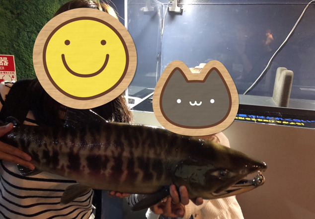 千歳水族館 鮭の模型体験